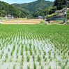 シカと見よ