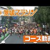 『愛媛マラソン』のコース紹介