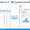 Salesforce データを JupyterLab 上でpandas.DataFrame として利用