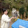 あらえびすホッホホー速報　福ちゃんその抱き方ありなん？！まんざらでもないホッホホー芦屋お話会 