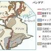 じじぃの「科学・地球_116_46億年の物語・緑の地球・陸上生物圏の出現」