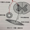 鍼灸の授業記録~20191214~