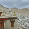 Ladakh④うわのそら