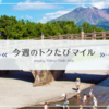 ANAの「トクたびマイル」　旅の日程の組み方が難しいけど、お得に旅ができる！！