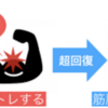 筋肉が付かない意外と知らない落とし穴⁉︎