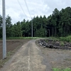 日本一の狐の像！多田朝日森稲荷神社を訪れました