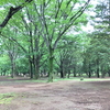 代々木公園へ