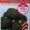 ダイソーの５５円の種：「ミニ栗かばちゃ」の成長