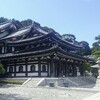 鎌倉の「長谷寺」はたくさんのあじさいそして「大仏切通し」は冒険コース