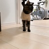 ちょこっと模様替え。