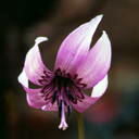 文科省が学校への持ち込みを許可したスマホで 子どもたちが盗撮をすることがあるからしっかり指導しろって オイ 教師の働き方改革 労働時間の削減 はどうなってるんだ キース アウト