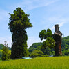 蓼科神社