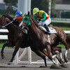 昼間っから大井競馬場