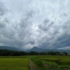 2022/08/16 火曜日　お盆最終日　カラス