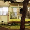 夜の散歩に