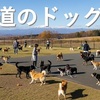 【北海道ドッグラン30選】人気ドッグラン完全ガイド【アクセス情報つき】