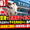 【速報】新千歳空港で口蹄疫ウイルス初検出　中国から持ち込まれたヤギ生肉約8キロ、国内侵入は阻止　2010年の宮崎県口蹄疫で政府対応が遅れた理由とは