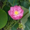 天気には勝てん
