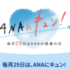 毎月２９日はＡＮＡのサイトを要チェック★