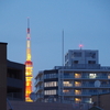 薬のせいかコミュニケーション疲れか…。