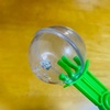 【セリアの虫キャッチャー】家に虫が出た！虫嫌いのピンチに「バグキャッチャー」が大活躍。