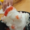 今日の午前中は曇り！午後から雨？気温朝方１５℃、日中は２４℃？