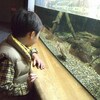 琵琶湖博物館・信楽焼