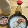 Youtube動画に感化されてツナ缶飯を食べた次第