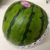 小玉すいか