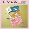     【リンネル𝟐𝟎𝟐𝟔年𝟏𝟎月号増刊付録】スヌーピー防災𝟓点セットを徹底レビュー！発売日・内容・サイズまとめ 