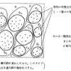 特許分類検索上級編　第12回　　観点詳細