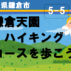 鎌倉、天園ハイキングコースを歩こう！（5-5）