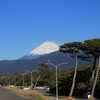 富士山の絶景を愛でる、沼津～富士宮の日帰りドライブ。