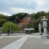 願昭寺④　山肌に鳥居群！