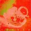 チャクラ『さてこそ』('81)