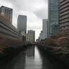 目黒川沿いの桜2018
