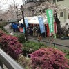 咲いた咲いた桜が咲いた（２）