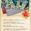 「皐月の夜と魔女の集い　第五夜」【終了しました】