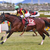 競馬初心者必見☆馬券予想🔥〜阪神C〜昨年の勝ち馬にとっては厳しい枠順に‥‥