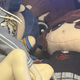 ラフレシアみたいに美しくなりたい