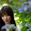 紫陽花に咲く❣️ なるはちゃん その1 ─ 北陸モデルコレクション 2023.6.18 太閤山ランド ─