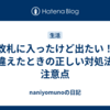 改札に入ったけど出たい！間違えたときの正しい対処法と注意点
