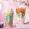 【速報】スタバ春の新作！抹茶×桜の最強コラボが2月28日登場🌸🍵