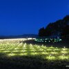 「福島潟自然文化祭2023」の雁迎灯（かんげいび）