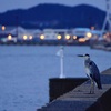 壇ノ浦漁港から