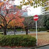 紅葉と交通公園