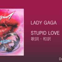 Lady Gaga Poker Face レディー・ガガ 12インチレコード Lady Gaga Poker Face レディー・ガガ 12インチレコード Poker