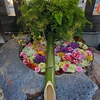 元三島神社と一乗寺の花手水