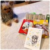 食欲スイッチ
