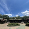2024年6月　WDW旅行記⑧　３日目❷　ライオンキングのショーの後はホテルでランチ＆休憩　暑い日は休憩大事です！